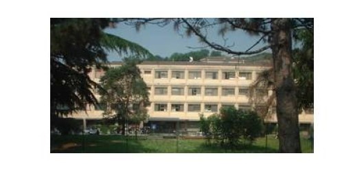 Istituto Clinico S. Anna Istituto Clinico S. Anna