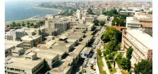 istanbul university cerrahpasa medical faculty breast center breast centres network bcn eso