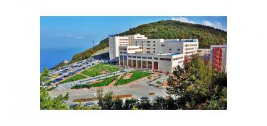 Zonguldak Bulent Ecevit University The School of Medicine
